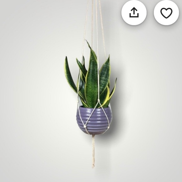 Minimalist Macrame Plant Hanger - 54” - Picture 1 of 6